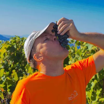 Bild: Auszeichnungen für die Weine eines österreichischen Aussteigers in der Toskana