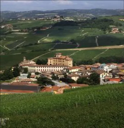 Bild: WI-MU: Neues Wine-Museum in Barolo