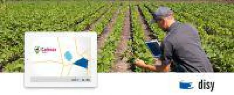 Bild: Wie Disy Daten mobil macht