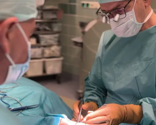 Bild: FACE.COLOGNE 2026: Interdisziplinär und international in der Gesichtsmedizin und Ästhetik