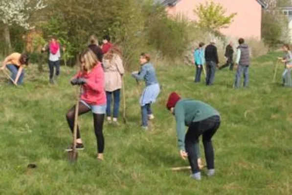 Bild: Ziel verdoppelt: NaturEnergiePlus pflanzt mehr als 2.000 Bäume