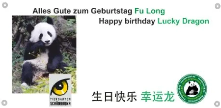 Geburtstagsgrüße für „Fu Long“ Aktion von Pandaworld und Tiergarten Schönbrunn gestartet. Bild: Geburtstagsgrüße für „Fu Long“ Aktion von Pandaworld und Tiergarten Schönbrunn gestartet.