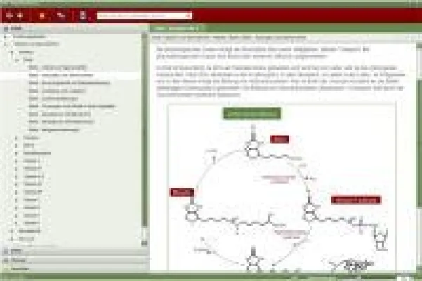 Denken Sie bei der Medikamenteneinnahme an Vitamine und Mineralstoffe? Bild: Denken Sie bei der Medikamenteneinnahme an Vitamine und Mineralstoffe?