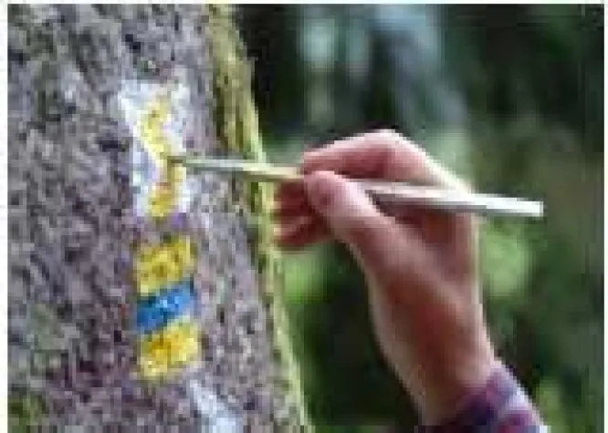 Bild: Handelsroute Goldener Steig in Bayern