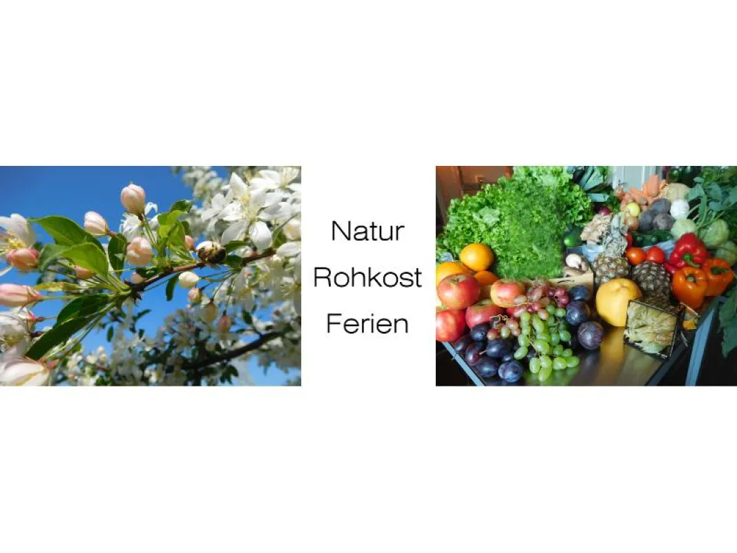 Natur Rohkost Ferien in Schmiedewalde
