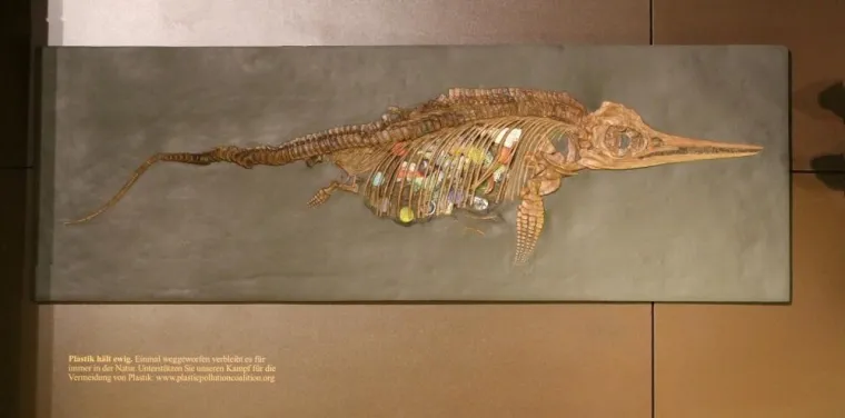 Bild: Außergewöhnliche Werbeaktion im Museum