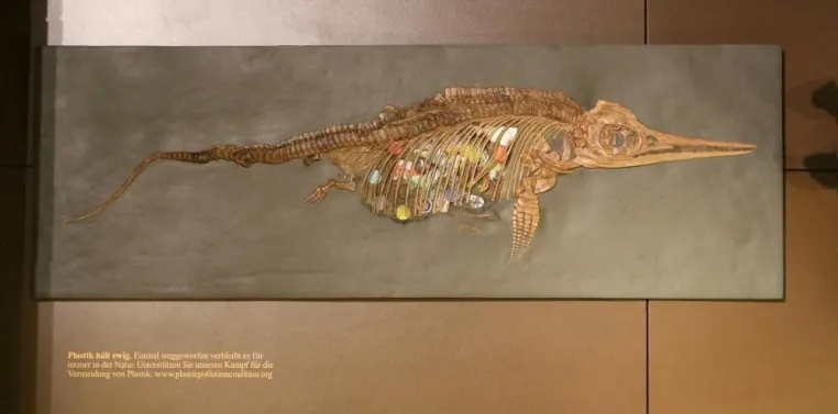 Außergewöhnliche Werbeaktion im Museum Bild: Außergewöhnliche Werbeaktion im Museum