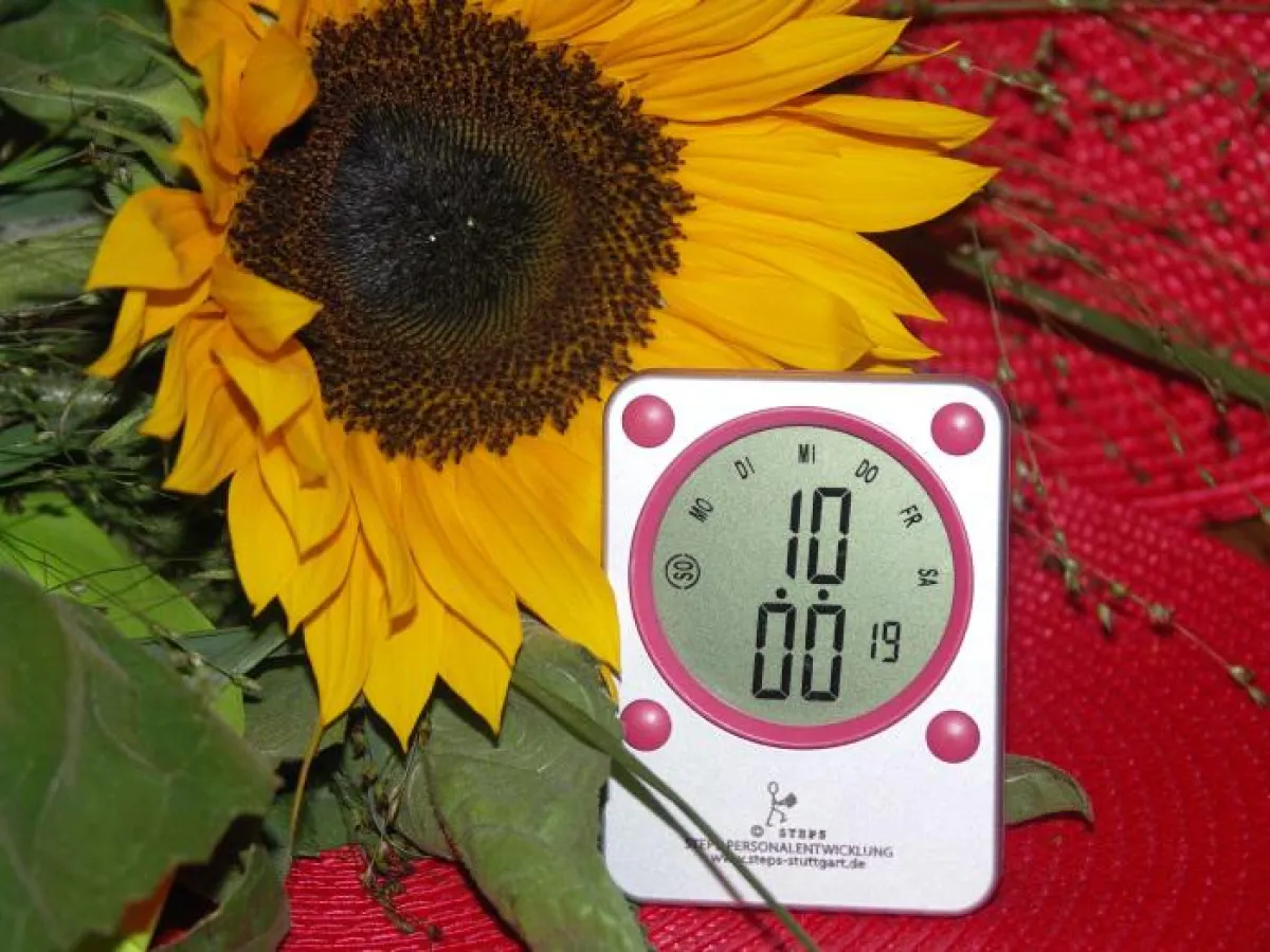 Zeitmanagement mit STEPS, Stuttgart