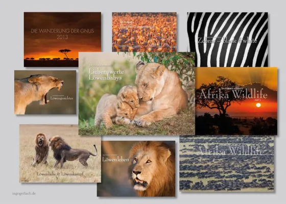 Bild: Kalender: Wildlife in Afrika – Löwenbabys und Löwenkampf