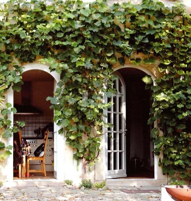 Gärten an der Hauswand Bild: Gärten an der Hauswand