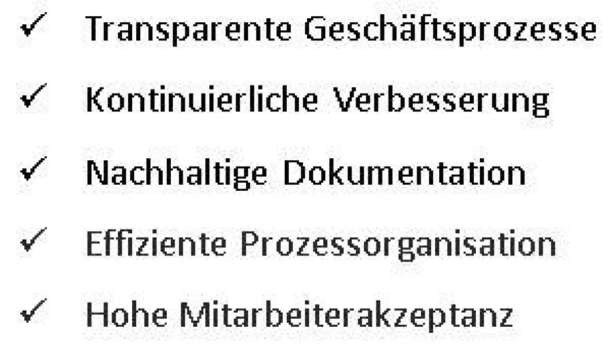 Das integrierte Managementsystem WissIntra