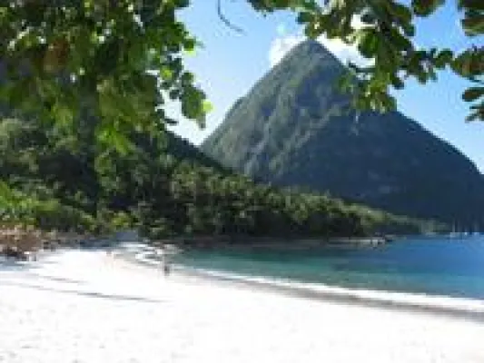 Bild: TomTom sucht weitere Kartografen für Trauminsel