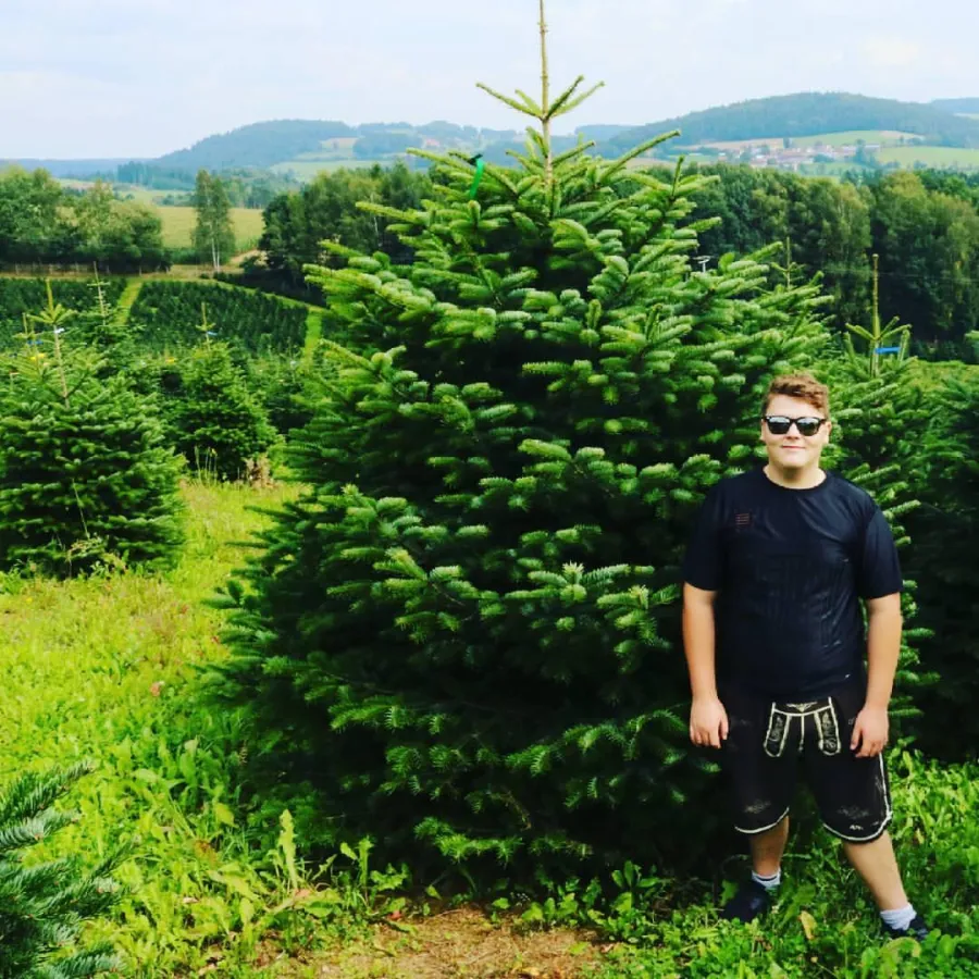 Weihnachtsbaum Zentrale Germany