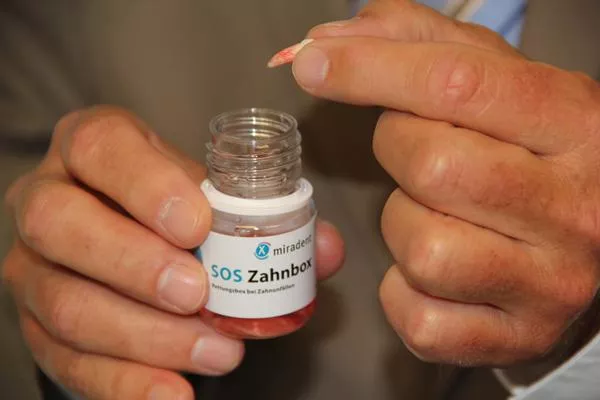 Zähne sind zu retten / Mehr als 1250 Zahnunfälle jährlich in Schleswig-Holsteins Schulen Bild: Zähne sind zu retten / Mehr als 1250 Zahnunfälle jährlich in Schleswig-Holsteins Schulen