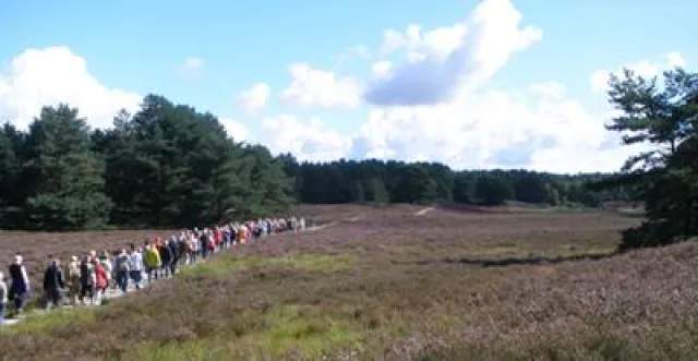 Bild: Heideblütenfest im Isetal