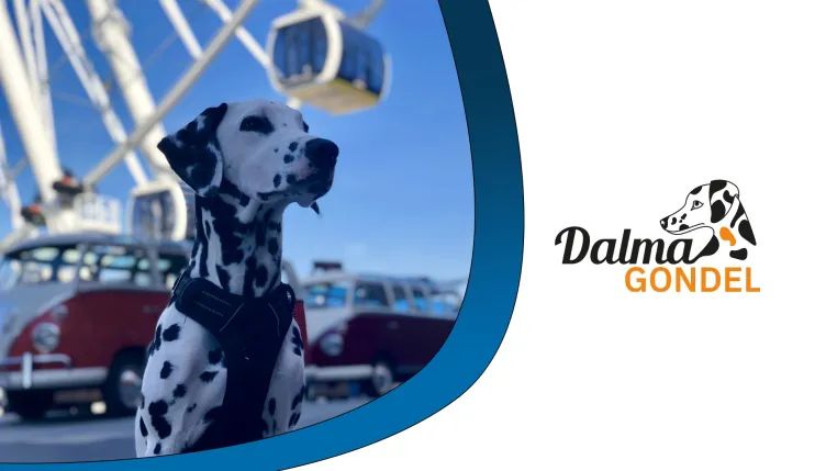 „Dalma Gondel“ im Umadum sammelt Spenden für den Tierschutzverein München Bild: „Dalma Gondel“ im Umadum sammelt Spenden für den Tierschutzverein München