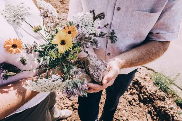 Bild: RIFFEL Weine: Regenerativer Weinbau als Schlüssel zu unvergleichlicher Qualität