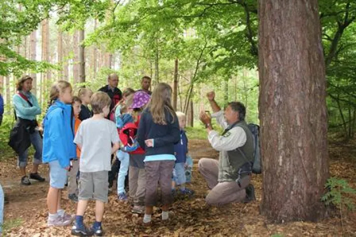 Bild: Neue Familienführungen im Nationalpark an der Ostsee