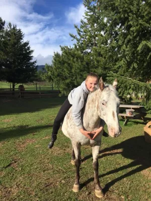 Bild: Europaen Equine Expert (EPA) ab 99,-Euro und vieles mehr