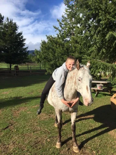 Bild: Europaen Equine Expert (EPA) ab 99,-Euro und vieles mehr