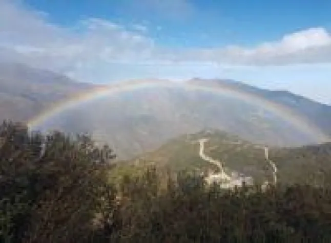 Bild: US-Wahl und Goldpreis