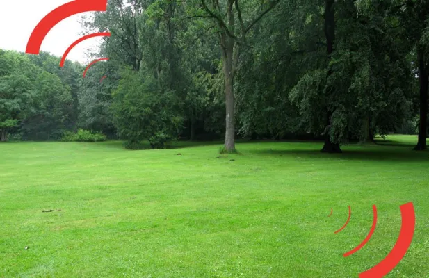 Bild: "20 Vertrauensgüter" (UA) - Musiktheater von Hannah Groninger, Gerd Knappe und Johannes Kreidler