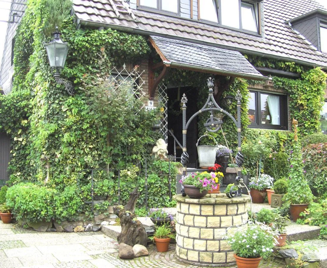 Fassadenbegrünung: schön und schützend zugleich. Foto: Hans Palm – NABU Kempen