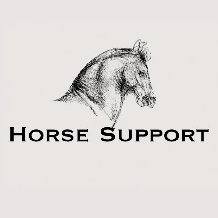 Der Intensiv-Pflegehof bietet kranken Pferden bestmögliche Rehabilitation.