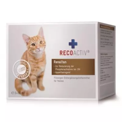 Bild: Schnelle Hilfe für kranke Katzen: Mit Recoactiv Nierenerkrankungen und Niereninsuffizienz lindern.