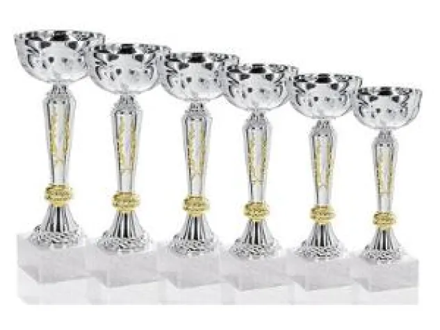 Pokale bleiben der Renner im Vereinsleben: Umfrage auf meinverein.de Bild: Pokale bleiben der Renner im Vereinsleben: Umfrage auf meinverein.de