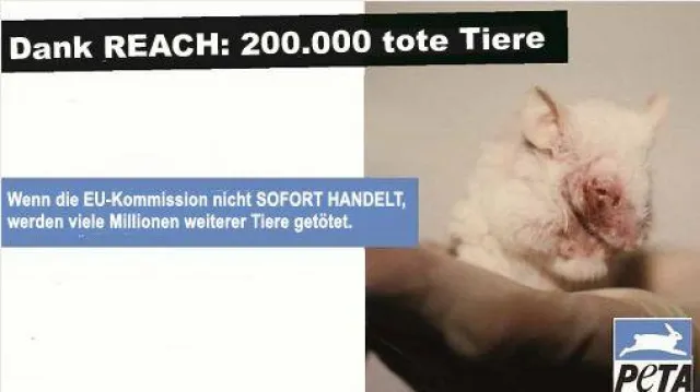 Bild: REACH: EU versagt bei der Regulierung tödlicher Tierversuche / PETA fordert Maßnahmen von der EU-Kommission