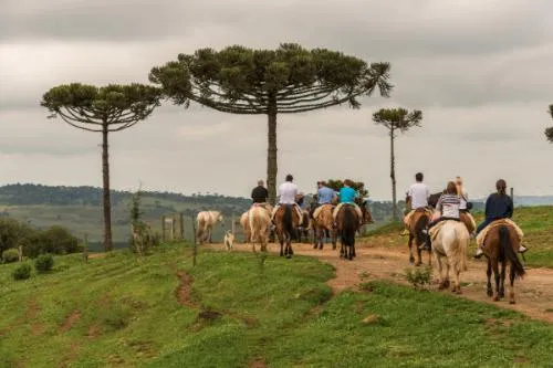 Brasiliens Landleben entdecken - Agrotouristische Angebote erfreuen sich großer Beliebtheit Bild: Brasiliens Landleben entdecken - Agrotouristische Angebote erfreuen sich großer Beliebtheit