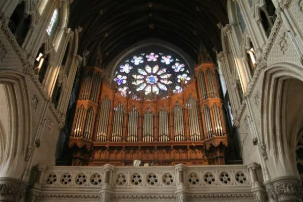 Bild: Otto Orgelwurm rettet die Kirche - Theologen der HU entwickeln Fundraising-Konzepte zur Orgelsanierung