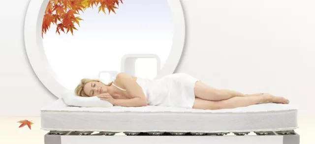 Bild: red dot design award: honourable mention 2008 – Auszeichnung geht an FROLI Kunststoffwerk GmbH & Co. KG