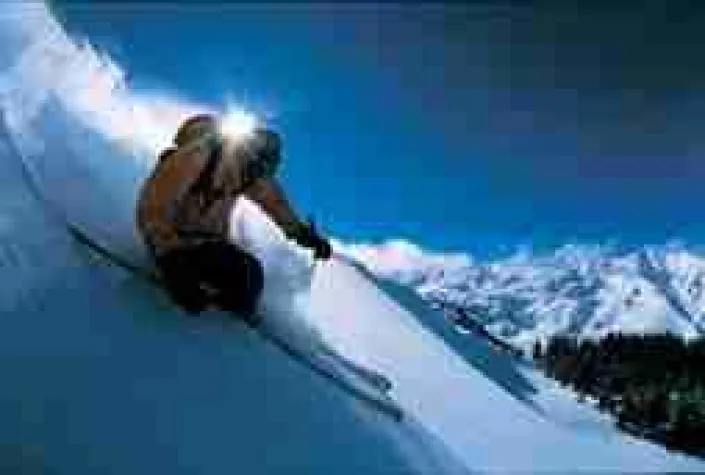 Bild: "Champagne Powder" Touren im Aspen Ski Resort