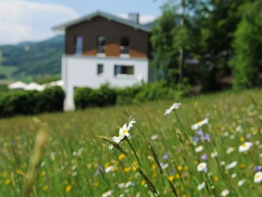 Bild: Kaum zu glauben: Ostbayern wirbt mit kühlem Sommer-Urlaub