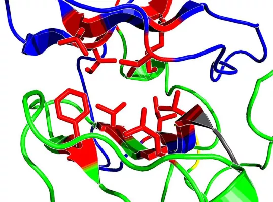 Bild: Viren im Dienst der Gesundheit – LKW im Mikrobereich