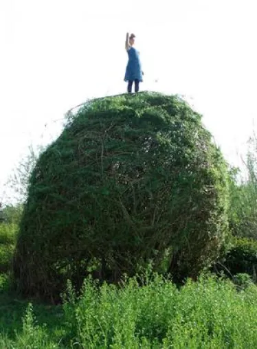 Bild: Sommerkurse im Künstlerdorf Barnitz: Landart – Outdoor – Naturkunst