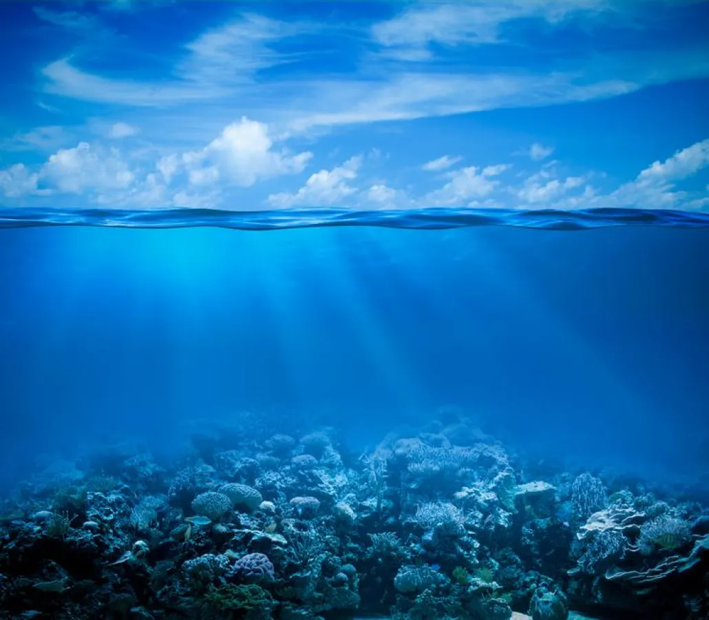 Das Unbewußte erleben im Institut für Interaktionale Hypnose & Entspannung