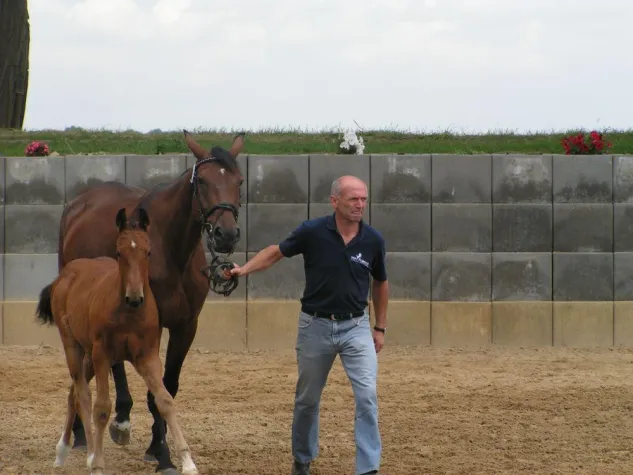 Erfolgreiche Fohlenschau auf der Reitanlage Buch Bild: Erfolgreiche Fohlenschau auf der Reitanlage Buch