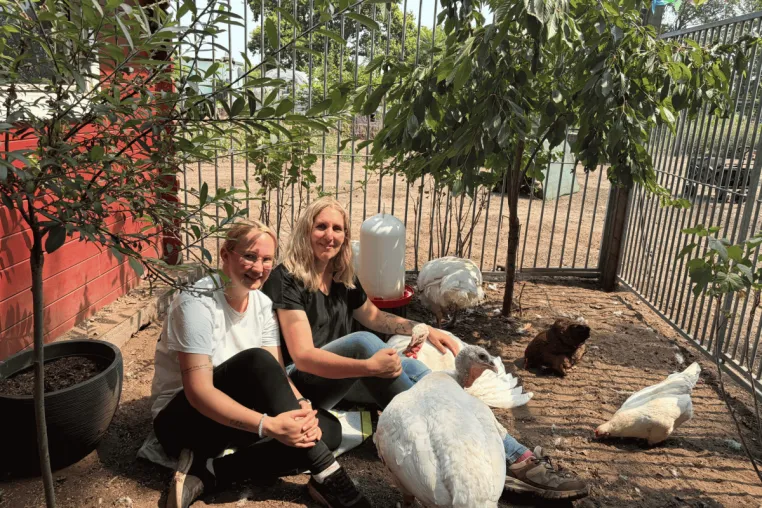 ANINOVA-Stiftung fördert Stall für gerettete Puten auf dem Lebenshof Bertha & Friends in Borken (NRW) Bild: ANINOVA-Stiftung fördert Stall für gerettete Puten auf dem Lebenshof Bertha & Friends in Borken (NRW)