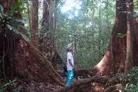 Gegen Regewaldrodung in Kamerun: Umweltschutzgruppen überreichten Protestpetition an Großinvestor Blackstone Bild: Gegen Regewaldrodung in Kamerun: Umweltschutzgruppen überreichten Protestpetition an Großinvestor Blackstone