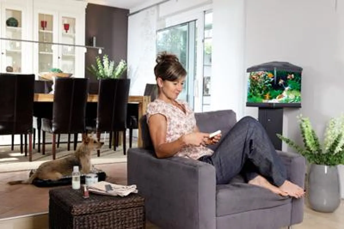 Das sera Biotop Nano Cube 60 bringt Wellness in die eigenen vier Wände. Foto: sera