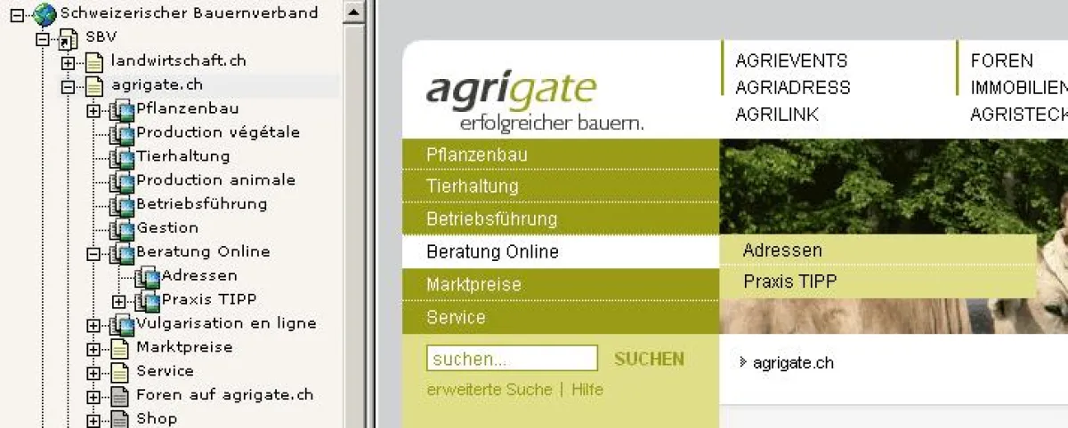 agrigate.ch – Screenshot TYPO3 Backend mit automatisch generierten Webseiten