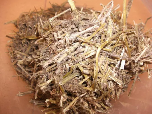 Bild: Willkommen in der keimfreien Zone