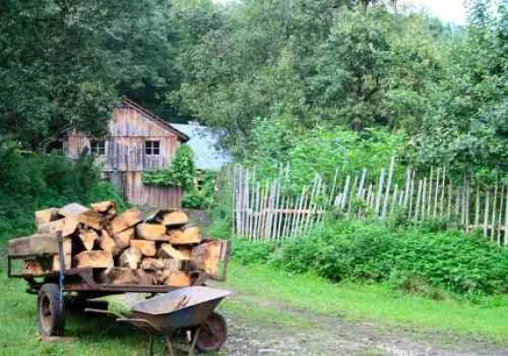 Bild: Einführung in die Holz- und Steinbildhauerei im wunderschönen Höllbachtal im Vorderen Bayerischen Wald