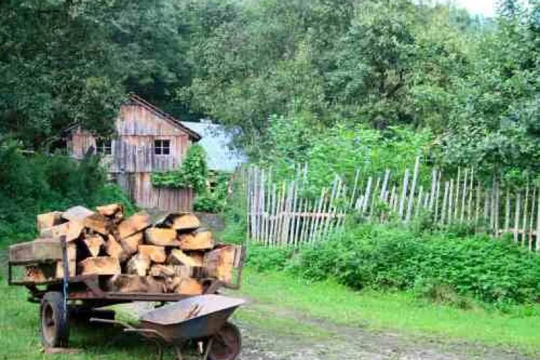 Bild: Einführung in die Holz- und Steinbildhauerei im wunderschönen Höllbachtal im Vorderen Bayerischen Wald