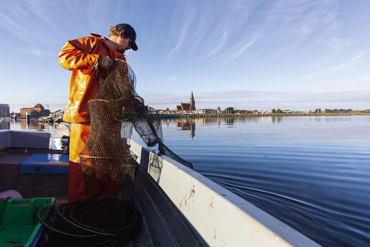 André Grählert kontrolliert Aalkörbe (Voigt & Kranz UG, ostsee-kuestenbilder.de)