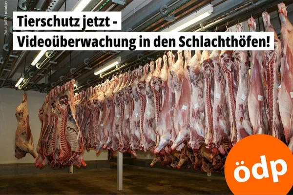 Bild: Unterstützung zur Abschaffung von Tierleid gesucht