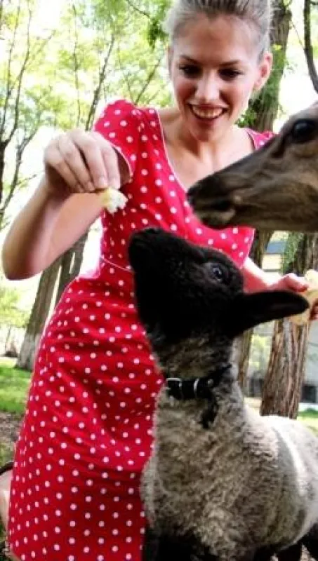 Was für ein entzückendes Paar: Martina Hirschmeier trifft auf ein zahmes Lamm mit Rehkitz.